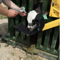 Arrowquip Head Scoop