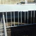 Bateman Lamb creep shelters