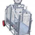 Ritchie Weigh Scales