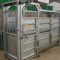Ritchie Cattle Crushes Available