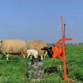 Gallagher Electric Fencing