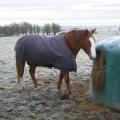 JFC Feeders & Feed Equipment