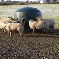 JFC Feeders & Feed Equipment