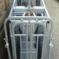 Ritchie Draft Pro Electronic Lamb Weigher