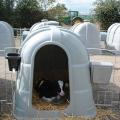 JFC Calf Hutches