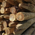 Fencing Posts and Rails