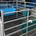 JFC 4 Calf Hutch