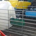 JFC 4 Calf Hutch