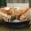 JFC Feeders & Feed Equipment