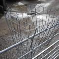 Gwaza Hay Baskets