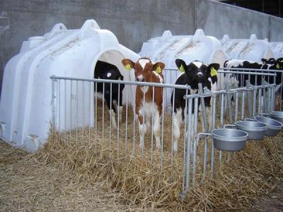 JFC Calf Hutches