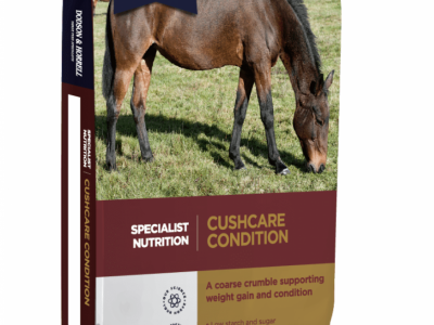 Dodson and Horrell Cushcare Condition