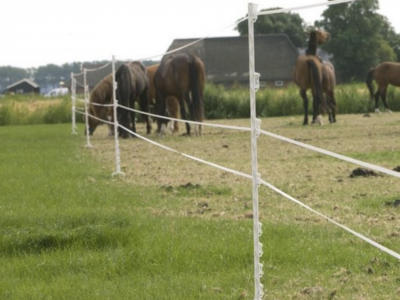 Gallagher 1.55m Horse Post White