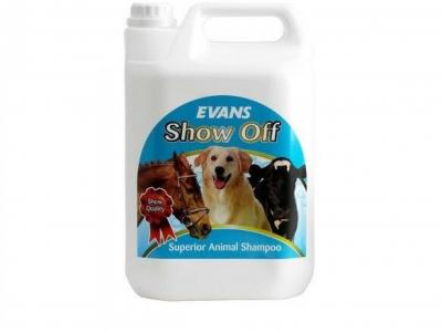 Evans Show Oil