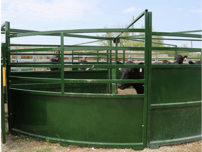 Arrowquip 8ft, 10ft and 12ft Crowding Pen