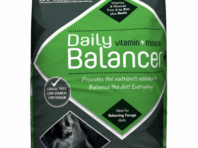 Spillers Daily Balancer