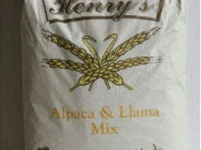 Henrys Llama and Alpaca mix