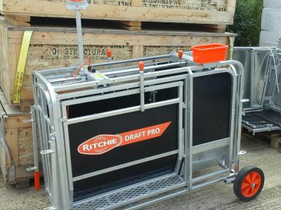 Ritchie Draft Pro Electronic Lamb Weigher