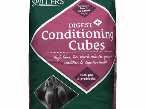 Spillers Digest + Conditioning Cubes