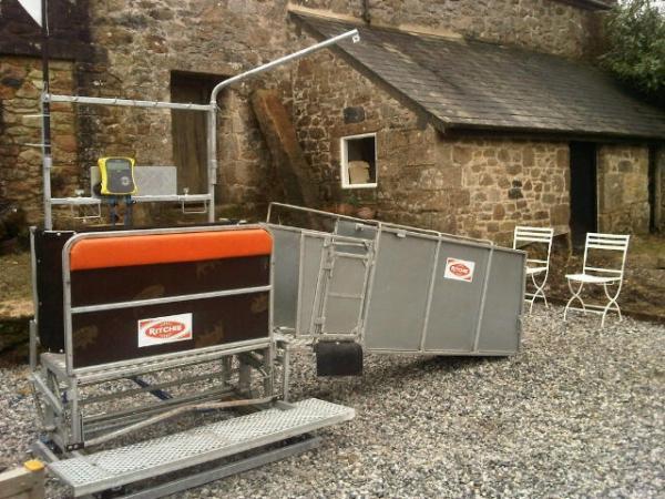 Ritchie Sheep Combi Clamp